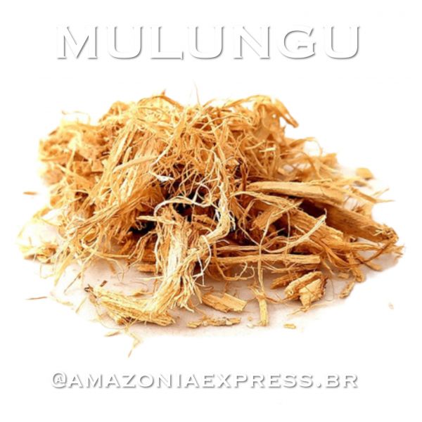 1Kg de Mulungú em casca