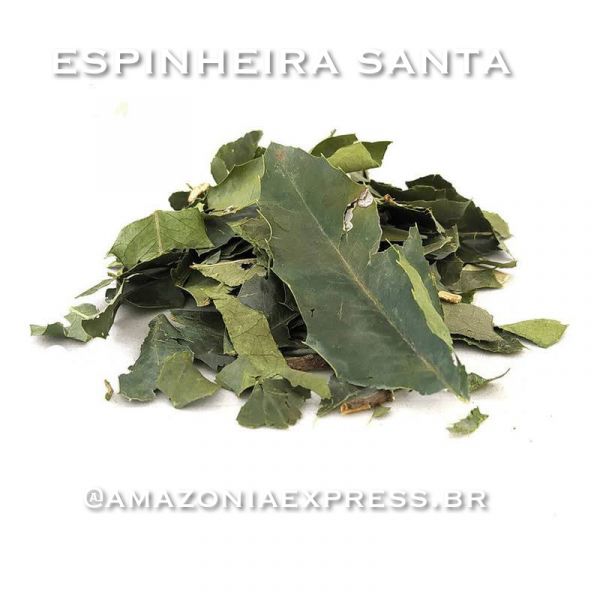 Espinheira Santa 500g